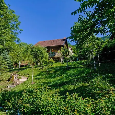 Дом отдыха Osmak In Gusti Laz