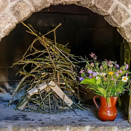 Osmak In Gusti Laz * Brod na Kupi