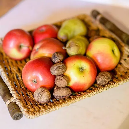 Osmak In Gusti Laz Дом отдыха *