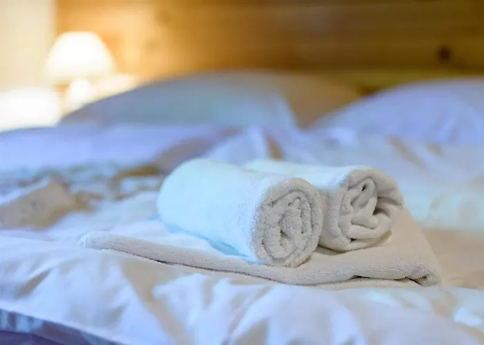 Tatil Evi Osmak In Gusti Laz *