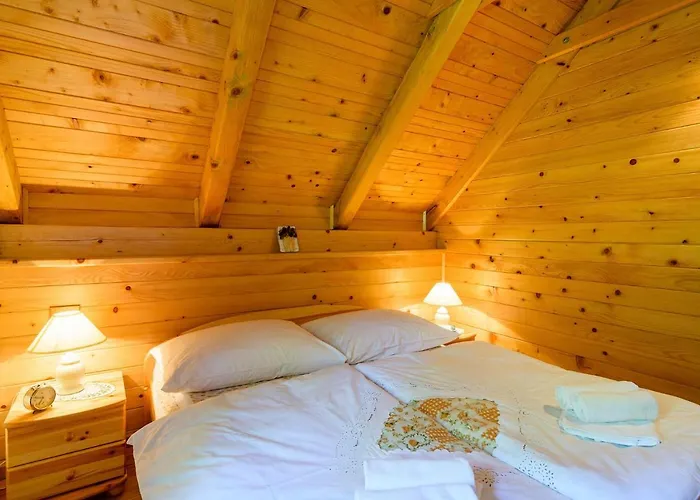 Tatil Evi Osmak In Gusti Laz *