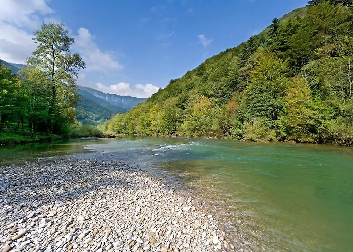 Osmak In Gusti Laz Tatil Evi