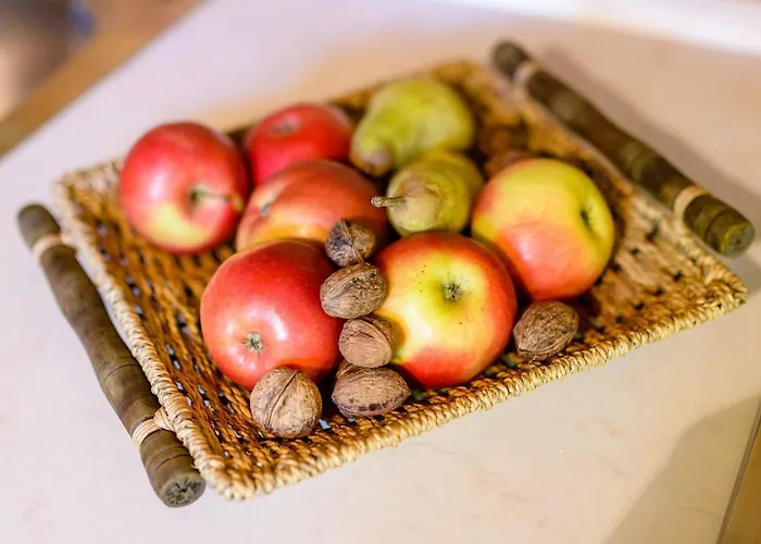 Osmak In Gusti Laz Tatil Evi *