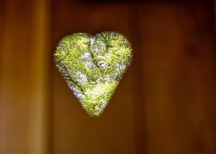 Osmak In Gusti Laz * Brod na Kupi