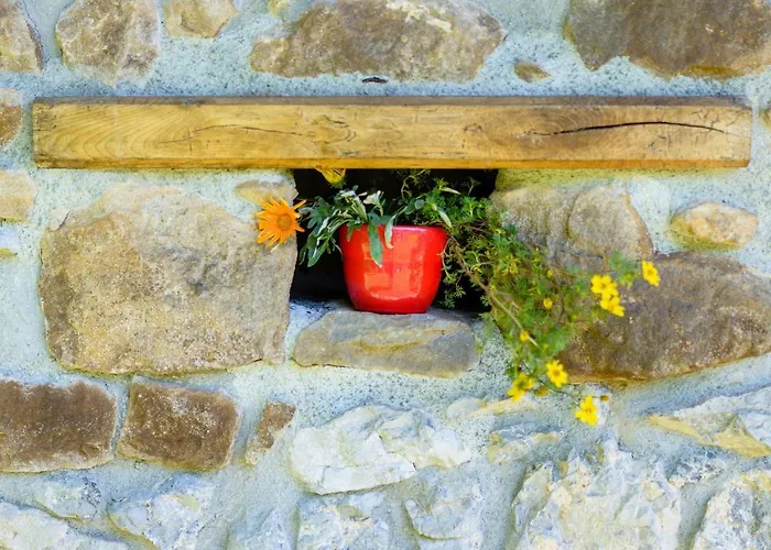 Osmak In Gusti Laz * Brod na Kupi